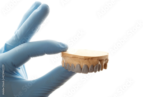 dental model with wax teeth on white background