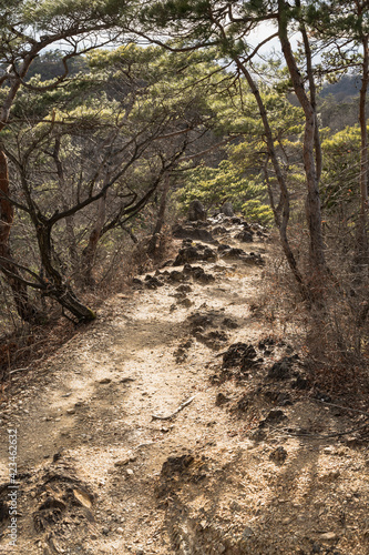 両崖山 登山ルートからの眺め 織姫山・両崖山区間 2021年1月