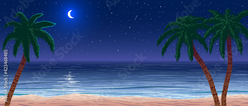 vector calm ocean shore at starry night