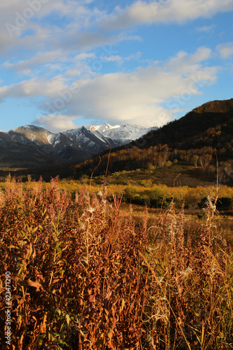 Obraz na płótnie Trekking around volcanoes of Kamchatka in fall season. Northern pristine nature. w salonie