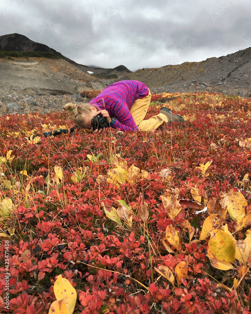 Trekking around volcanoes of Kamchatka in fall season. Northern pristine nature.