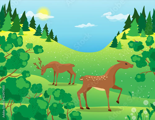 Vector illustration of a deer in a summer forest