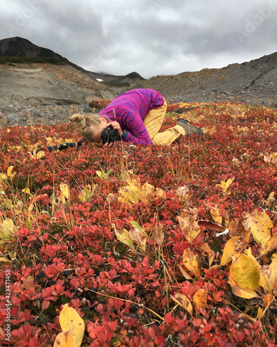 Obraz na płótnie Trekking around volcanoes of Kamchatka in fall season. Northern pristine nature. w salonie