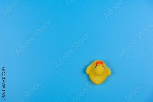 Fotografie Yellow rubber duck on a blue background. View from above.