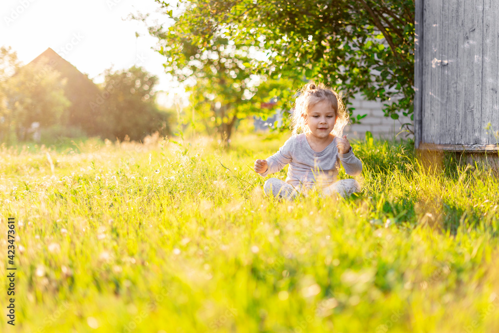 cute little girl in tall grass in the village cute little girl in tall grass in the village
