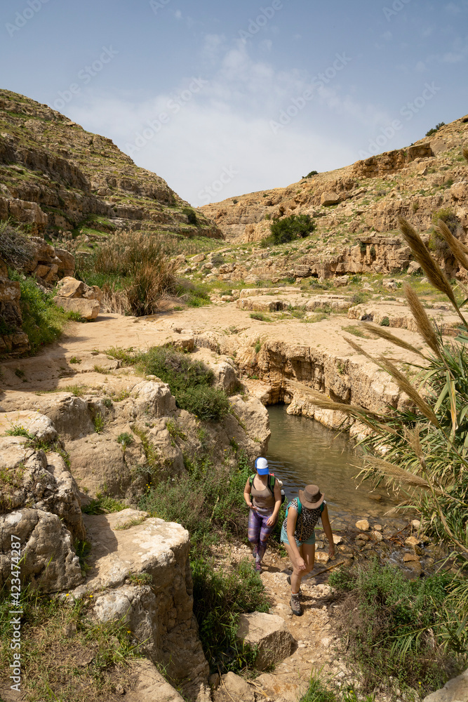 Hikers on the Bank of Prat Brook, Israel