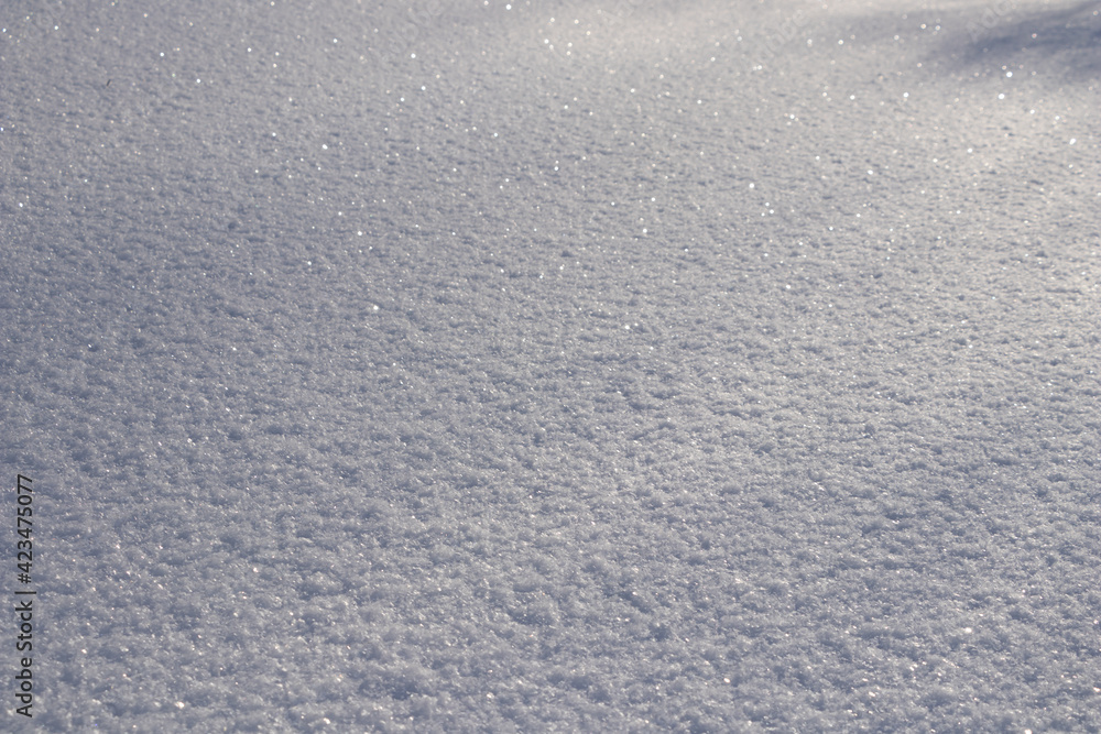 Freshly fallen snow, bright sunny day, Siberia. Freshly fallen snow, bright sunny day, Siberia.