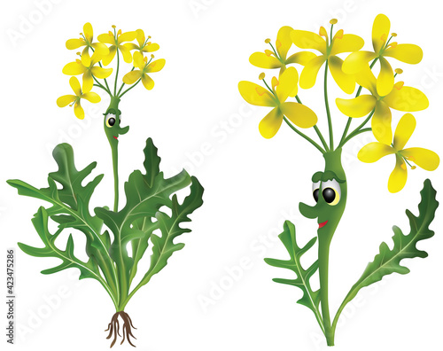 Cute happy cartoon Arugula. Funny flower herb rucola drawing. Mascot cartoon style of salat plant.
