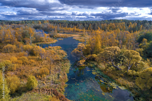 Above the Izvarka river in golden autumn. Izvara, Leningrad region. Russia