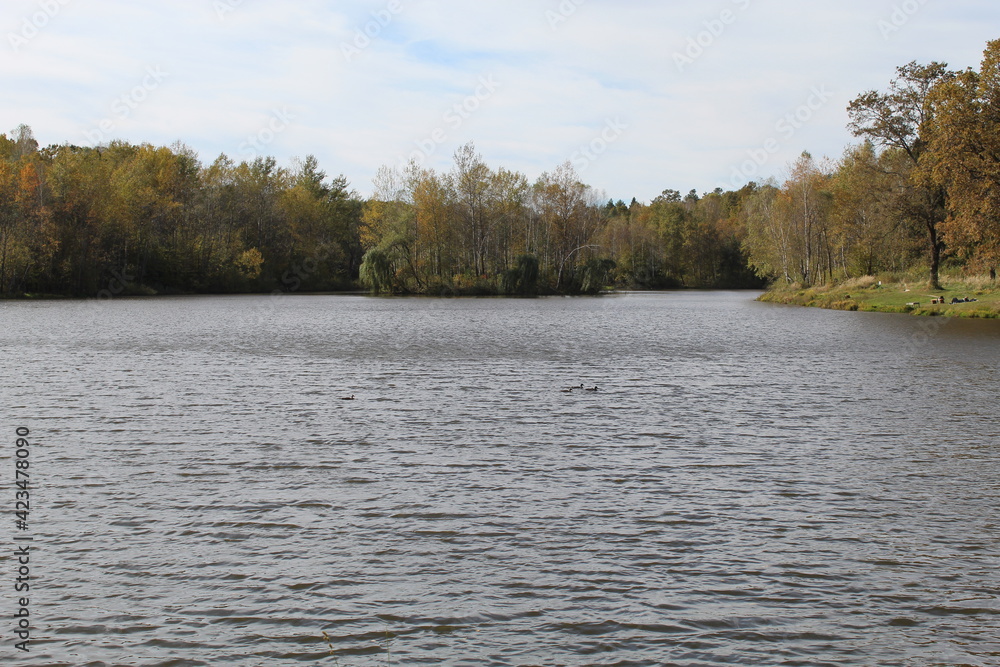 Fototapeta premium River in autumn