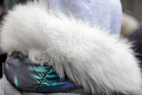 Collar of white fur on a jacket.