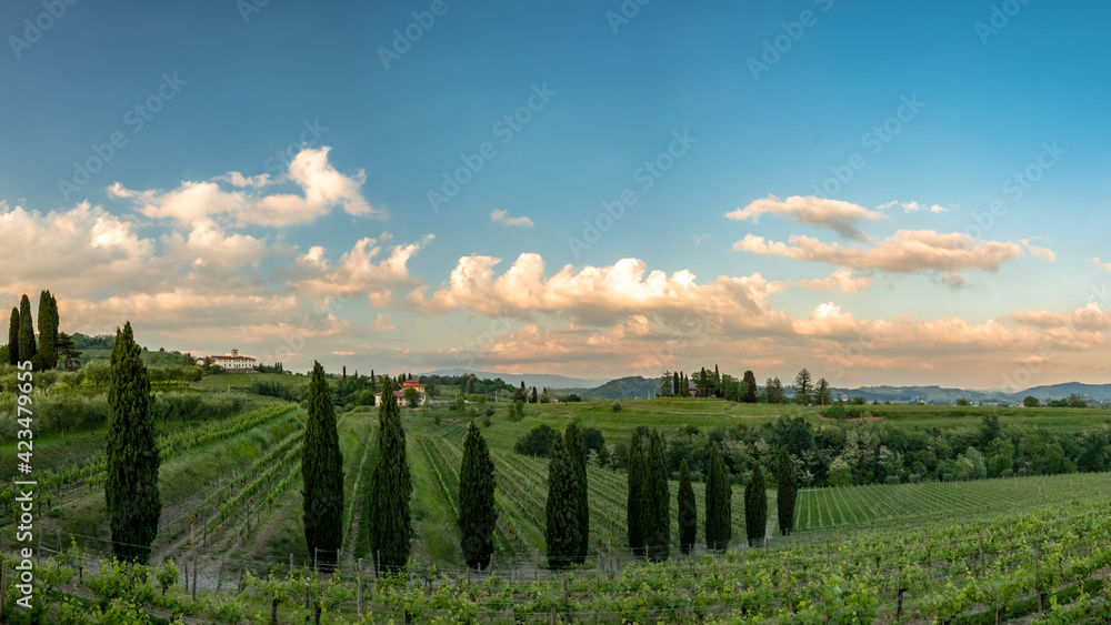 Spring stormy sunset in the vineyards of Collio Friulano, Friuli-Venezia Giulia, Italy