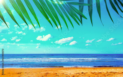 Summer beach and sea background, blue  sky and palm leaves 