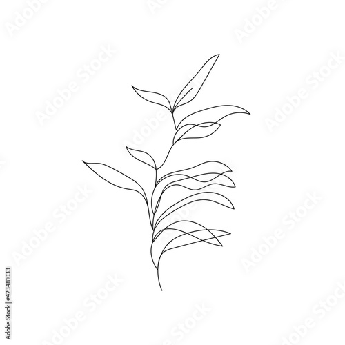 Leaves Vector Hand Drawn Line Art Drawing. Minimalist Trendy Contemporary Floral Design Perfect for Wall Art  Prints  Social Media  Posters  Invitations  Branding Design.