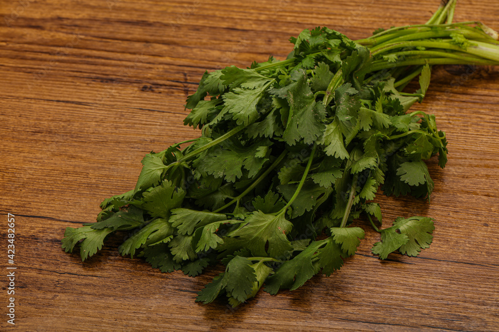 Green coriander or cilanto leaves heap Green coriander or cilanto leaves heap