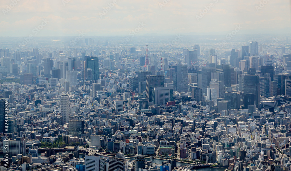 Tokyo from the sky