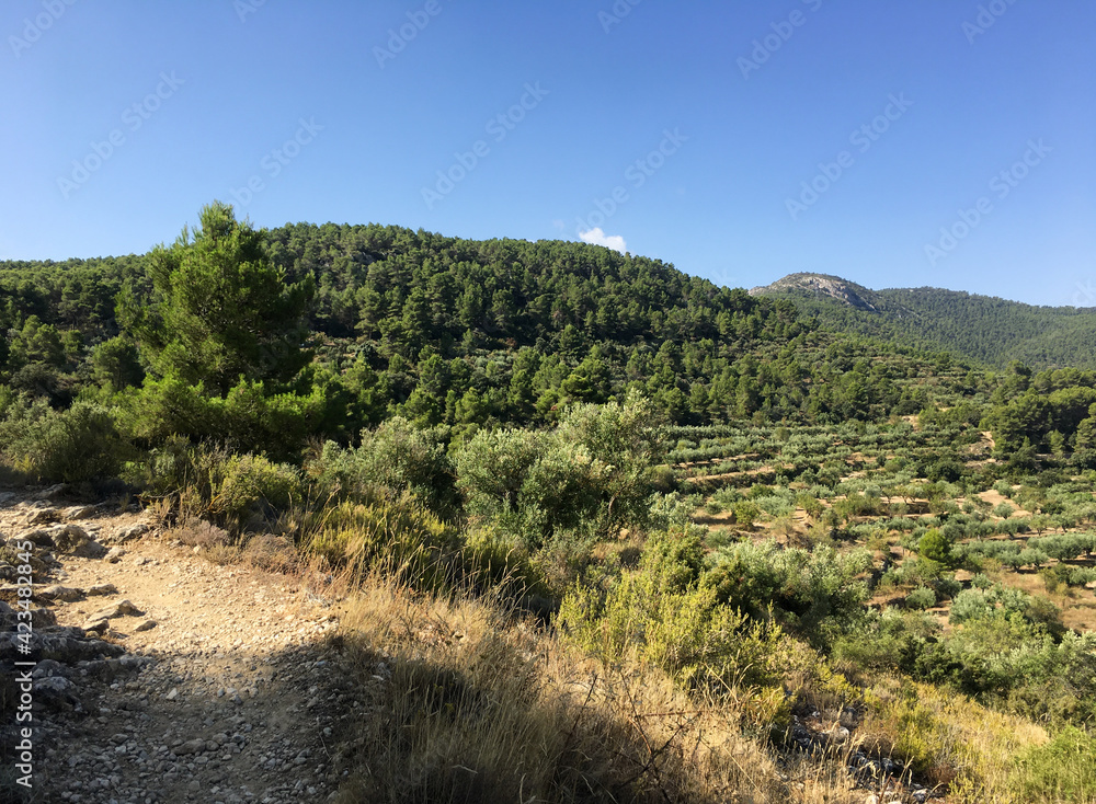 Irregular trail for hiking and views of the landscape in the Sierra de Mariola, Alicante. Pine-covered mountains and olive groves under a blue sky. Irregular trail for hiking and views of the landscape in the Sierra de Mariola, Alicante. Pine-covered mountains and olive groves under a blue sky.