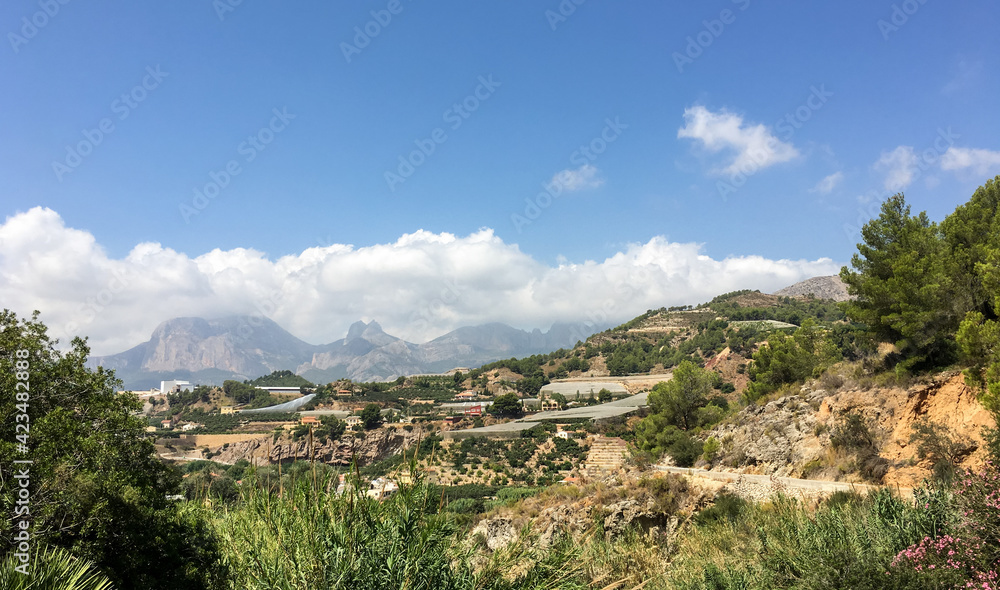 View of the surroundings of Callosa de Ensarriá, with mountains covered with Mediterranean vegetation, pines and other trees. Mountains with a mass of white clouds on the horizon.