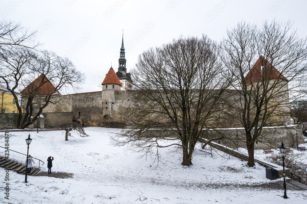 View of Tallinn castle