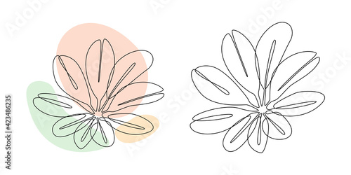 Fototapeta Naklejka Na Ścianę i Meble -  Vector Exotic Flower in line art style. Continuous one line drawing. Abstract botany poster with blossom. Minimalistic and natural wall art. Vector illustration