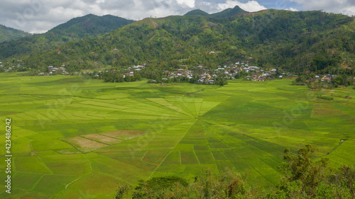 View of famous Lodok Cara spider web rice fields with mountain and village background, near Ruteng, Flores island, East Nusa Tenggara, Indonesia