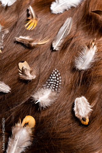 Bird feathers in dark women's hair on a white background
