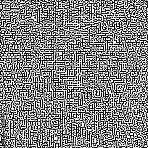 Cyclic Symmetric Multiscale Turing Pattern. Monochrome texture photo