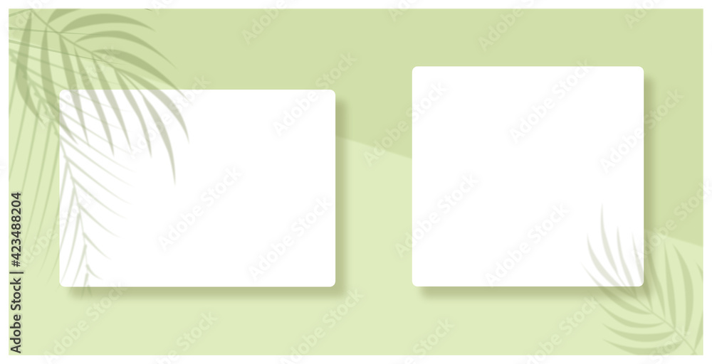 Shadow Overlay Plant Vector Mockup white paper. Shadows overlay effects Of A leaf on green background. Vector illustration. 植物のシルエットとデコレーションの白紙背景、夏のテンプレート