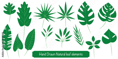 Set of tropical green leaf icons. tropical leaf illustration. Vector illustration. トロピカルリーフ、葉アイコン、手書き風リーフセット