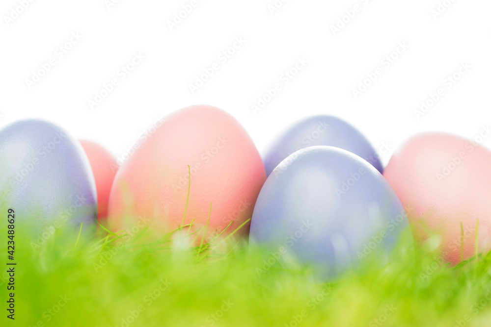 Easter eggs in grass