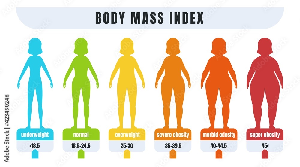 Vettoriale Stock Woman BMI. Body mass index infographic for people with  obesity and normal weight. Diagram for diagnosing adiposity or underweight.  Female silhouettes from skinny to fat, vector banner | Adobe Stock