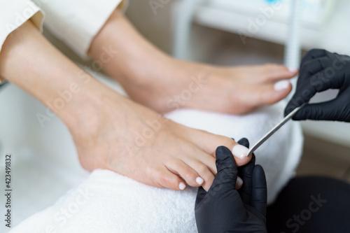 Specialist in beauty salon making french pedicure for female client. Relaxing at beauty salon, caring about nails.