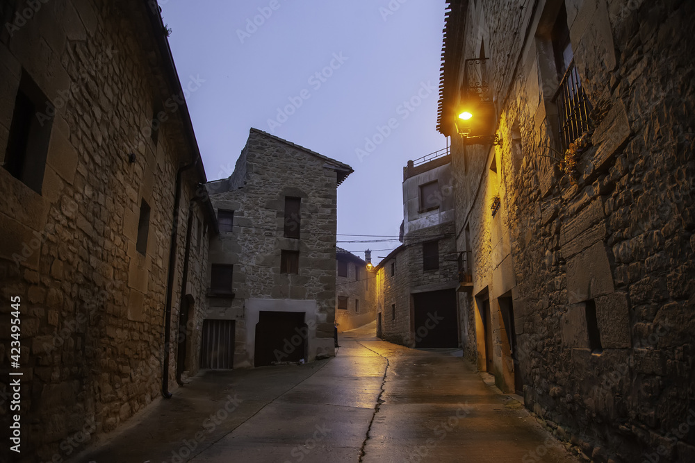 Village street at night