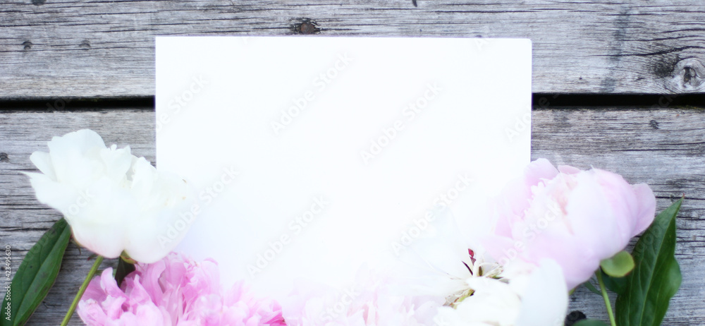 Obraz premium White and pink pion flowers on wooden background. Summer concept. Floral background for web site, greeting card, banner, flower shop. Mock up with pions. Focus on flowers 