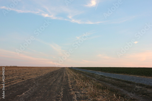 Sunset over the field. Landscape with autumn field cultivation  road and blue and pink sky