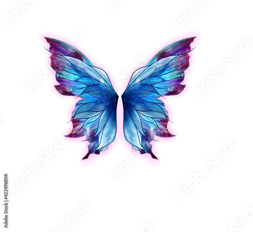 butterfly blue isolated insect white wing nature wings beauty fly animal flying black morpho color colorful beautiful bright summer butterflies spring tropical collection 