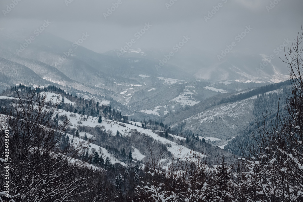Snowy peaks of the Carpathian Mountains