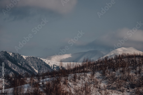 Snowy peaks of the Carpathian Mountains