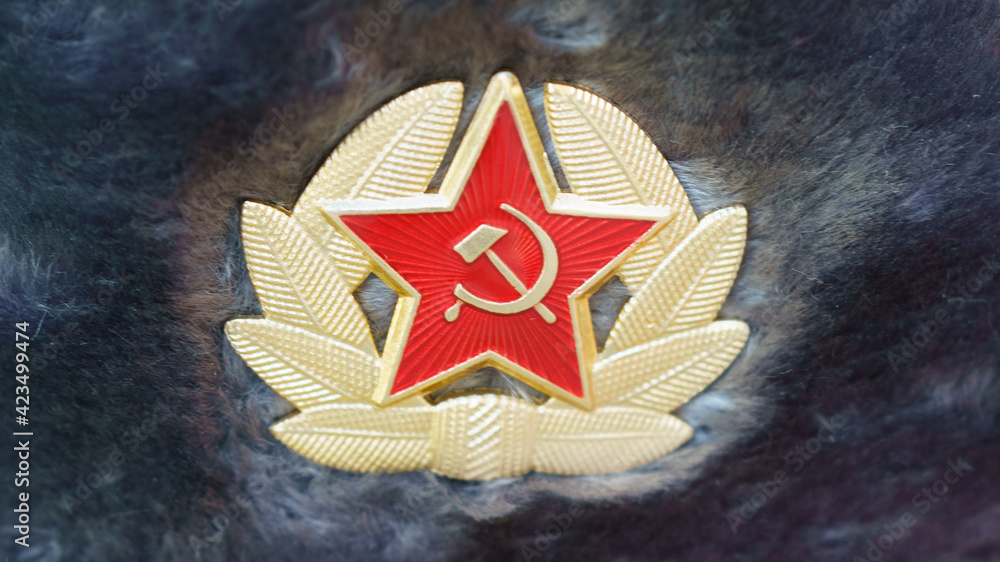 Ushanka, ushanka-hat. Badge 