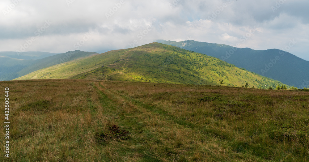 Muntii Valcan mountains in Romania covered by meadows with smaller rocks