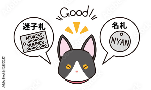 迷子札と名札を付けた黒猫