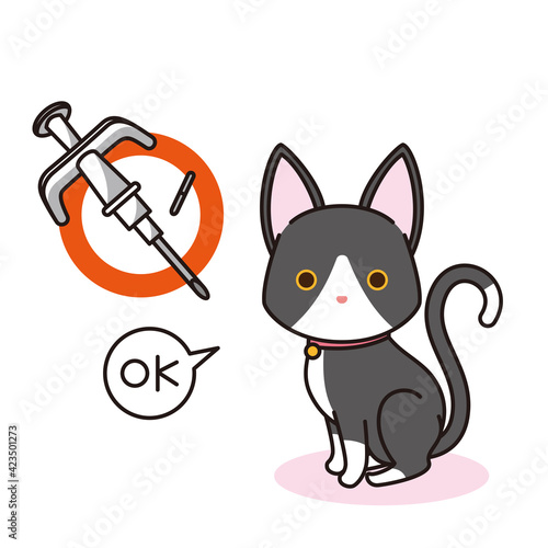 マイクロチップを装着した黒猫