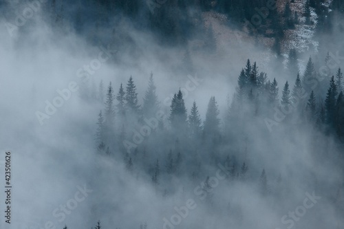 Mysterious peaks of the Carpathian mountains © Ihor
