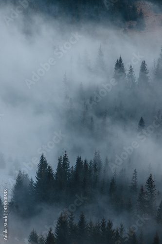 Mysterious peaks of the Carpathian mountains © Ihor