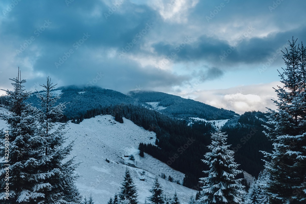 Fototapeta premium Carpathian mountains, winter, snow-capped peaks, clouds