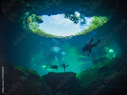 Scuba divers exiting from a cenote  Cenote Ponderosa  Playa del Carmen  Quintana Roo  Mexico 