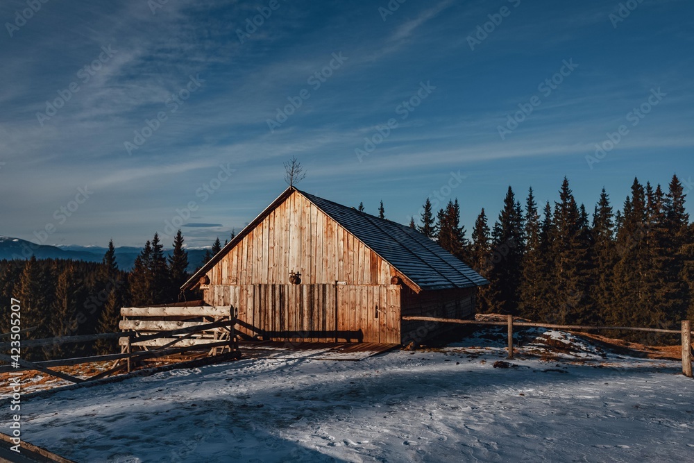 Carpathian mountains, winter, snow-capped peaks, viaduct, horse