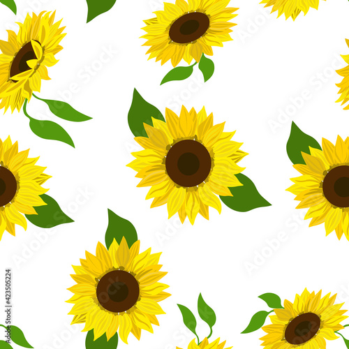 Seamless floral pattern, vector. Sunflowers on white background.