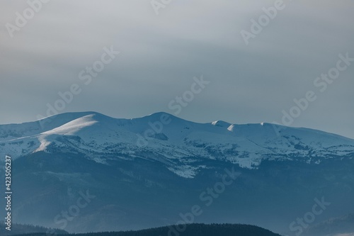 Carpathian mountains, winter, snow-capped peaks, viaduct, horse