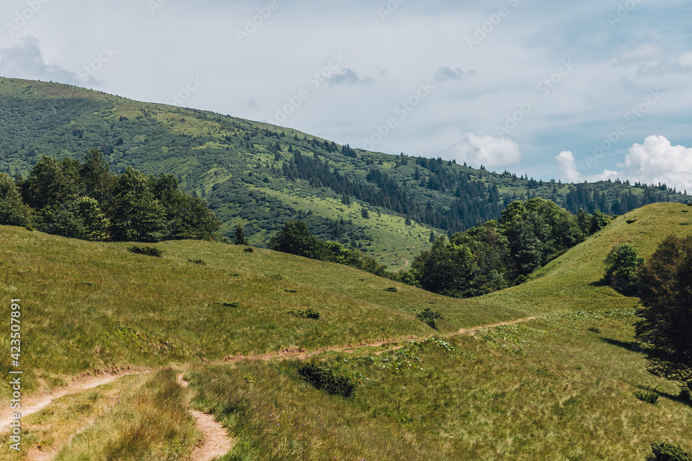 Fototapeta premium Carpathian mountains, summer, clouds, rain